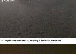 Enlace a 20 fotos donde el sentido común de la humanidad está siendo puesto a prueba