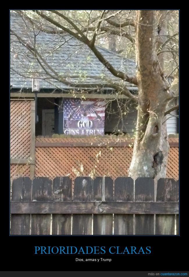 bandera,patriotismo,armas,vecindario,cartel