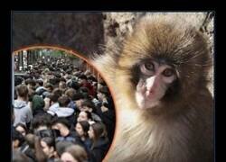 Enlace a Haciendo 3 horas de cola para ver a alguien con más amigos que yo