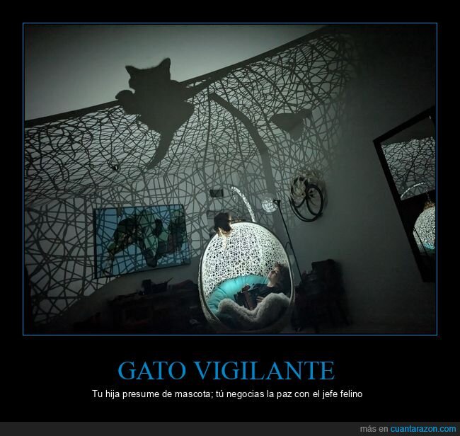 gato,sombra,amenaza,hija,sal&oacute;n