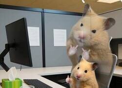 Enlace a Sonrisa corporativa