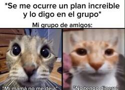 Enlace a Mi grupo: siempre disponible… para no venir