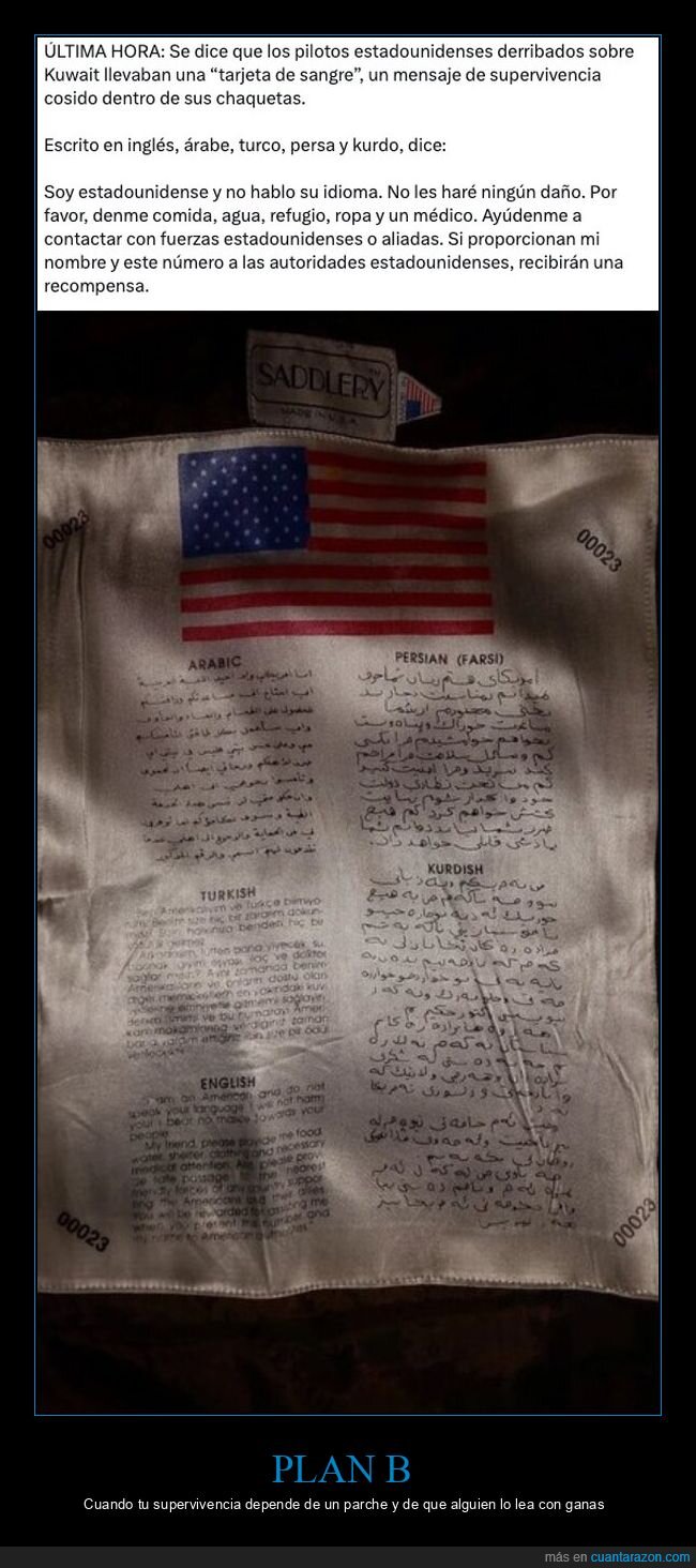 supervivencia,pilotos,kuwait,traduccion,recompensa