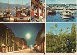 Enlace a Este tipo visitó Noruega cuando era niño y su padre le hizo una foto montado sobre un oso polar disecado. En la siguiente visita, se encontraron a sí mismos en una postal.