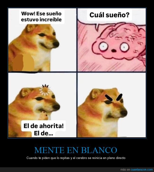 olvido,cerebro,rabia,bloqueo,sue&ntilde;o