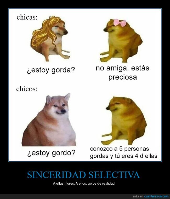 doge,amistad,sinceridad,doblerasero,cumplidos