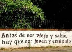 Enlace a Yo aún en prácticas