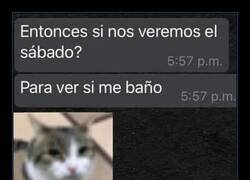 Enlace a El sábado, si me da tiempo a ser persona