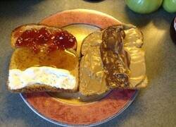 Enlace a A esto lo llamo equilibrio nutricional