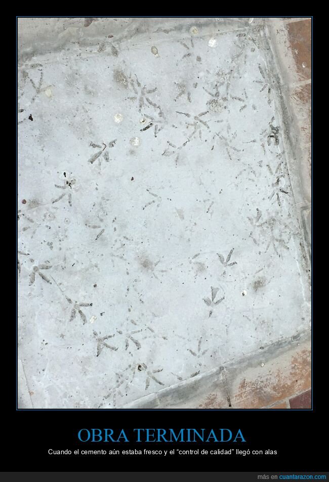cemento,palomas,huellas,chapuza,obra