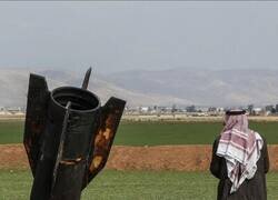 Enlace a Mi paquete: entregado (según el tracking)