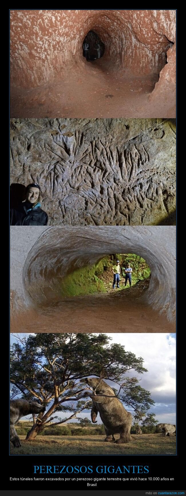 t&uacute;neles,perezoso,prehistoria,garras,Brasil