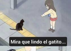Enlace a Qué mono el gatito… era una bolsa
