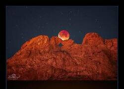 Enlace a Brutal instantánea