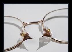 Enlace a Me he puesto las gafas y ahora tributo sangre