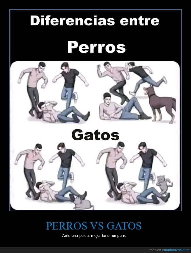 perros,gatos,lealtad,traici&oacute;n,comparaci&oacute;n