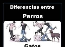 Enlace a El perro te defiende; el gato viene a rematarte
