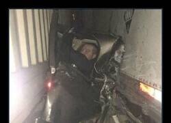 Enlace a Sobrevivo, pero el seguro me mata