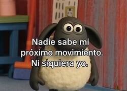 Enlace a Ni yo me entiendo