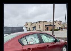 Enlace a Qué contenedor de basura más guapo