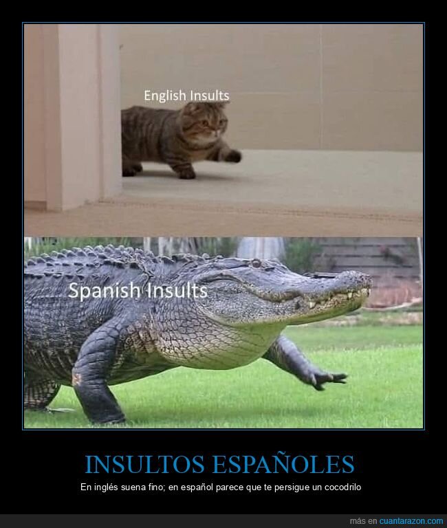 insultos,ingl&eacute;s,espa&ntilde;ol,comparaci&oacute;n,cocodrilo