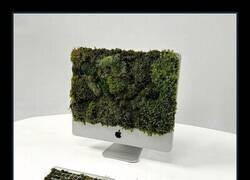 Enlace a Directos al paro