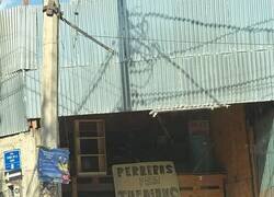 Enlace a Adaptándome a las tendencias