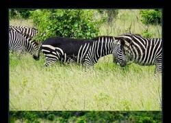 Enlace a Me dio pereza terminarme