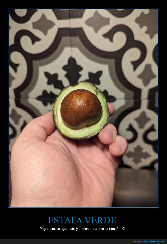 aguacate,hueso,timo,compra,cocina