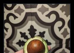 Enlace a He comprado un hueso con aspiración a aguacate