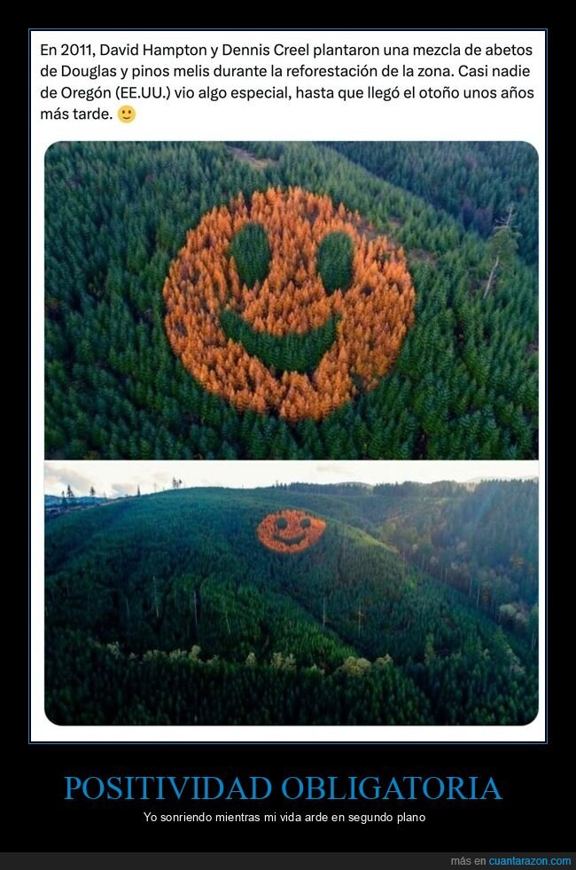 positividad,sonrisa,bosque,oto&ntilde;o,naturaleza