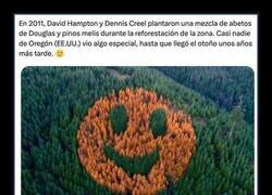 Enlace a Cuando la llegada del otoño te sonríe