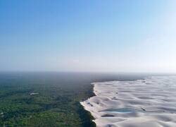 Enlace a La línea divisoria nítida entre un bosque exuberante y las dunas de arena blanca de Lençóis Maranhenses, en el noreste de Brasil