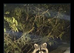 Enlace a Siempre salen bien a cámara