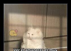 Enlace a El amanecer muy bonito… pero lo pusieron en horario criminal