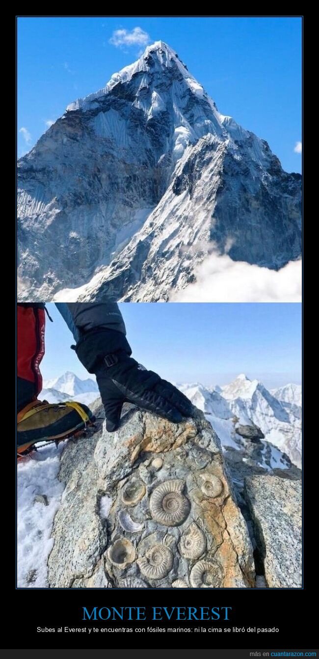 Everest,f&oacute;siles,oc&eacute;ano,monta&ntilde;ismo,geolog&iacute;a