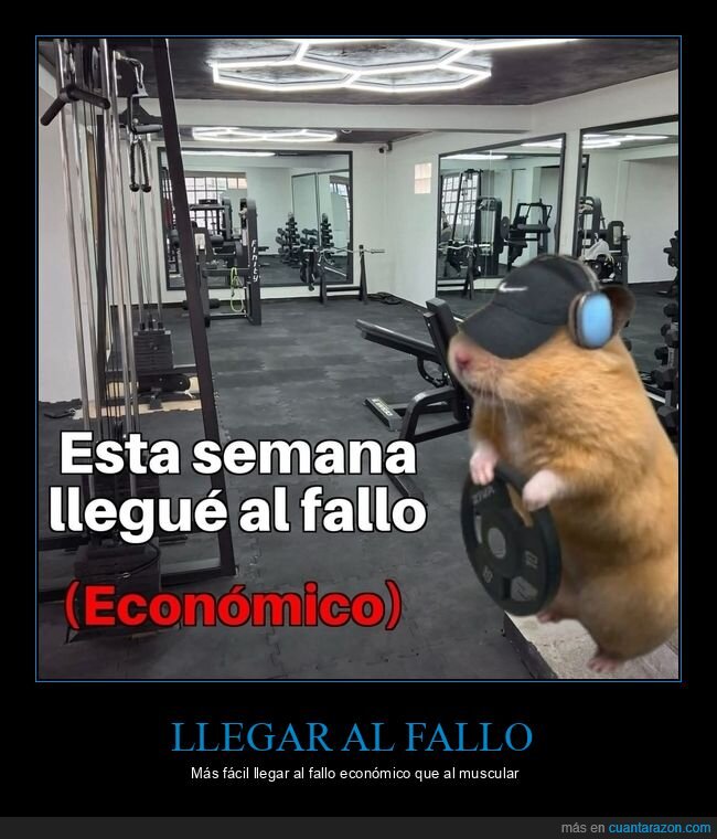 gimnasio,h&aacute;mster,pesas,pobreza,motivaci&oacute;n