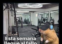 Enlace a De profesión: fallar