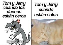 Enlace a En cuanto cierras la puerta: mejores amigos