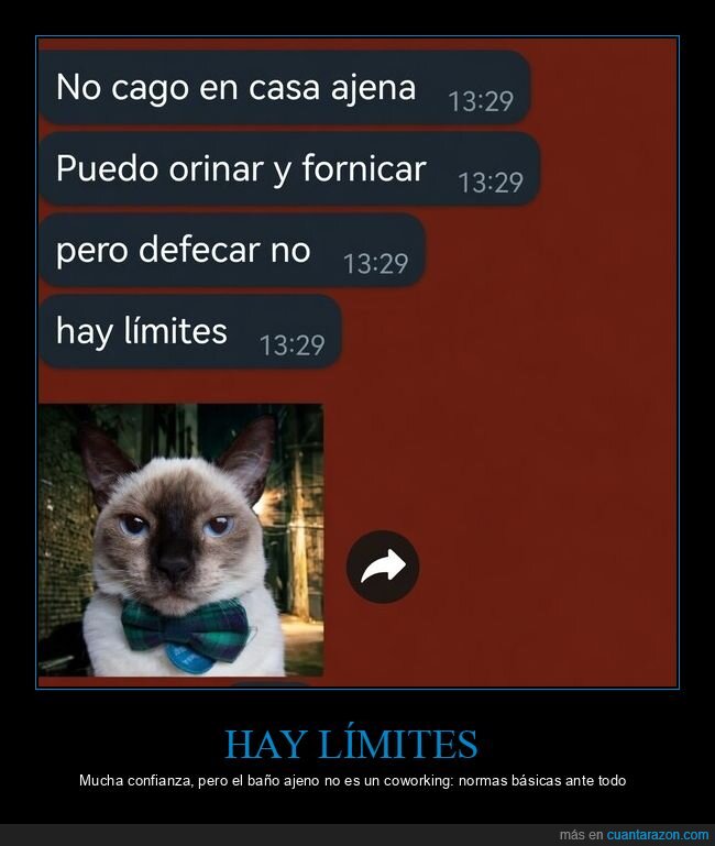 whatsapp,ba&ntilde;o,l&iacute;mites,gato,mensajes