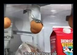 Enlace a Mi compi: ingeniero