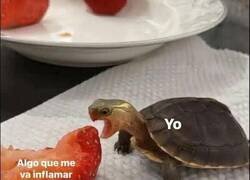 Enlace a Sé que me inflama… pero es mi misión