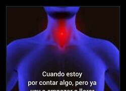 Enlace a Estoy bien… *se atraganta con emociones*