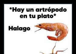 Enlace a Llama el exterminador