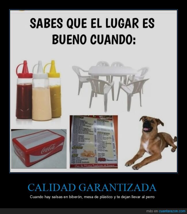 restaurante,salsas,terraza,perro,menu