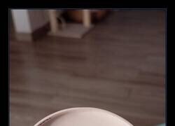 Enlace a Muy fan de este código de barras