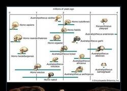 Enlace a Debía ser raro que tu vecino fuera de una raza inferior