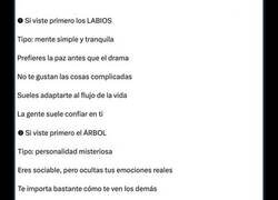 Enlace a Dime qué has visto en la imagen y te diré como eres