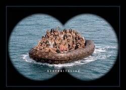 Enlace a Refugiados, pero con LV