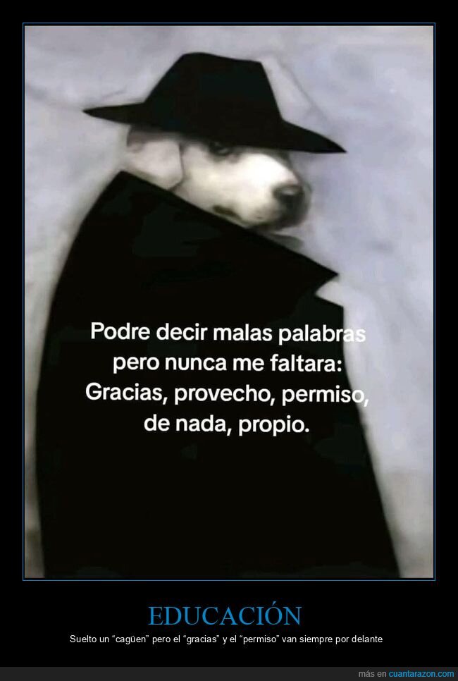 perro,educaci&oacute;n,modales,frases,caballero